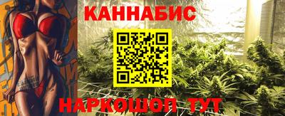 гидра Нальчик