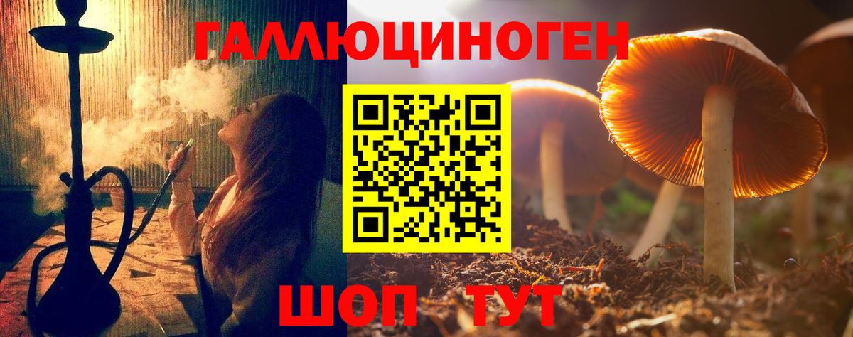 Зеленокумск  Псилоцибиновые грибы MAGIC MUSHROOMS  Вход с VPN 